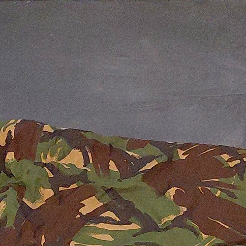 Military surplus sleeping - military,
